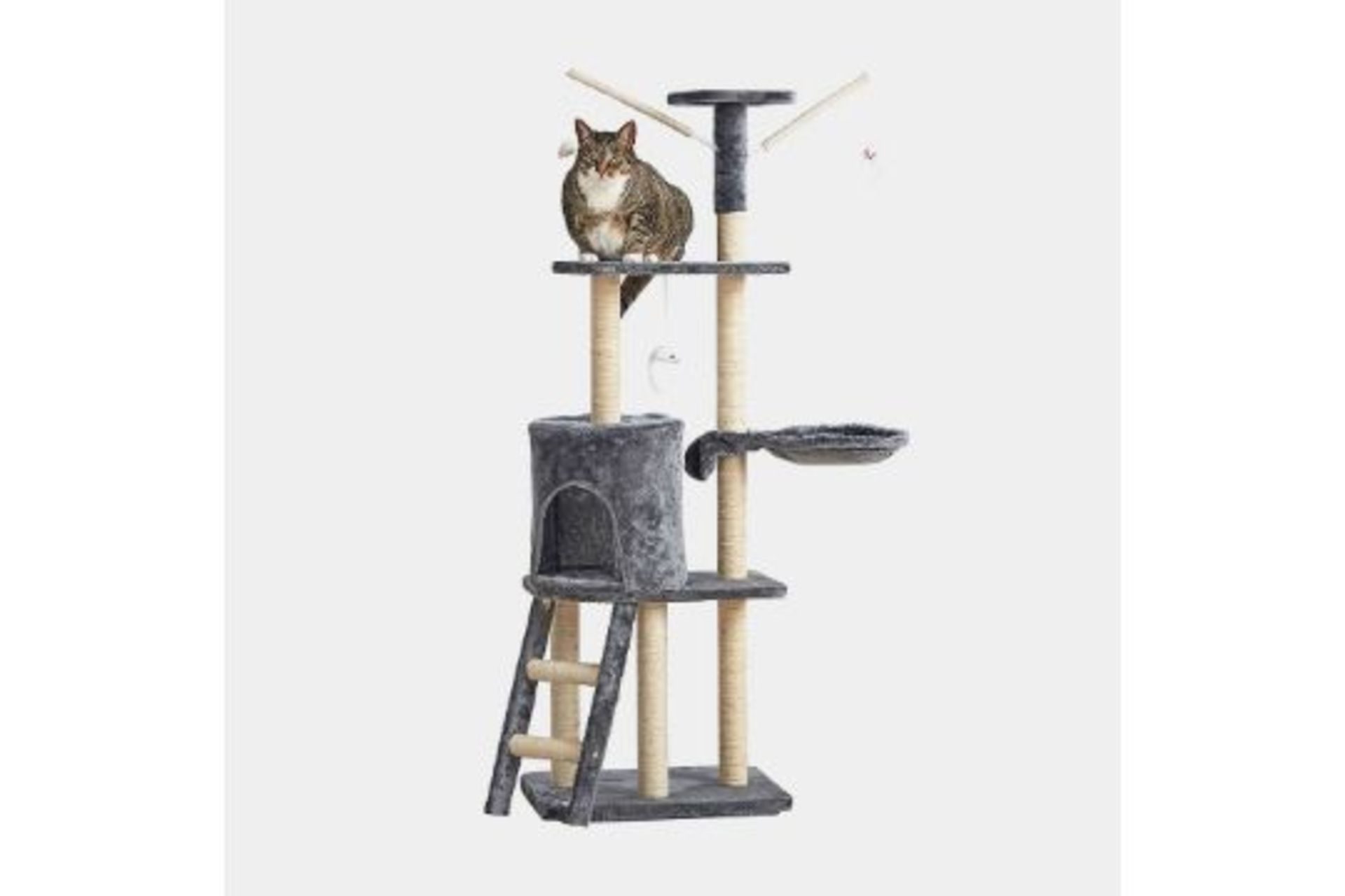 (22/221)Cat Tree. BI. Purrrfect for scratching, stretching, exercising, or enjoying a peaceful cat