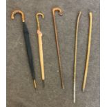 3 wooden walking sticks, 3 cane handled vintage umbrellas