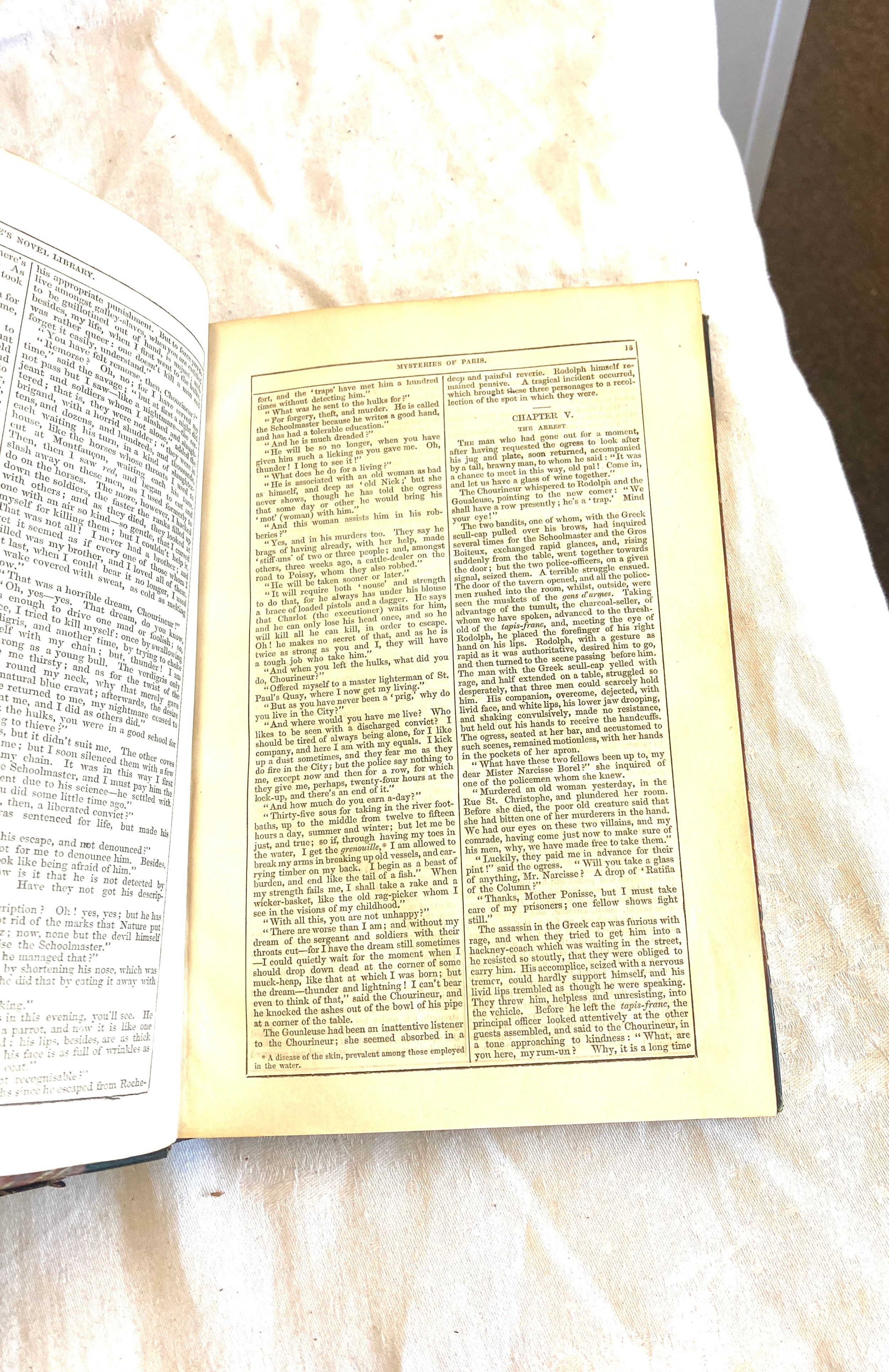 Large antique holy Bible and a The Mysteries of Paris by M. Eugene Sue - Image 3 of 6