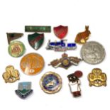Selection of vintage enamel badges
