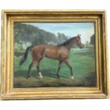 Signed oil on canvas, depicting a horse, framed, frame measures approximately 26 inches wide 22