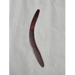 Antique Tribal art Australian Aboriginal chip carved boomerang length 65cm