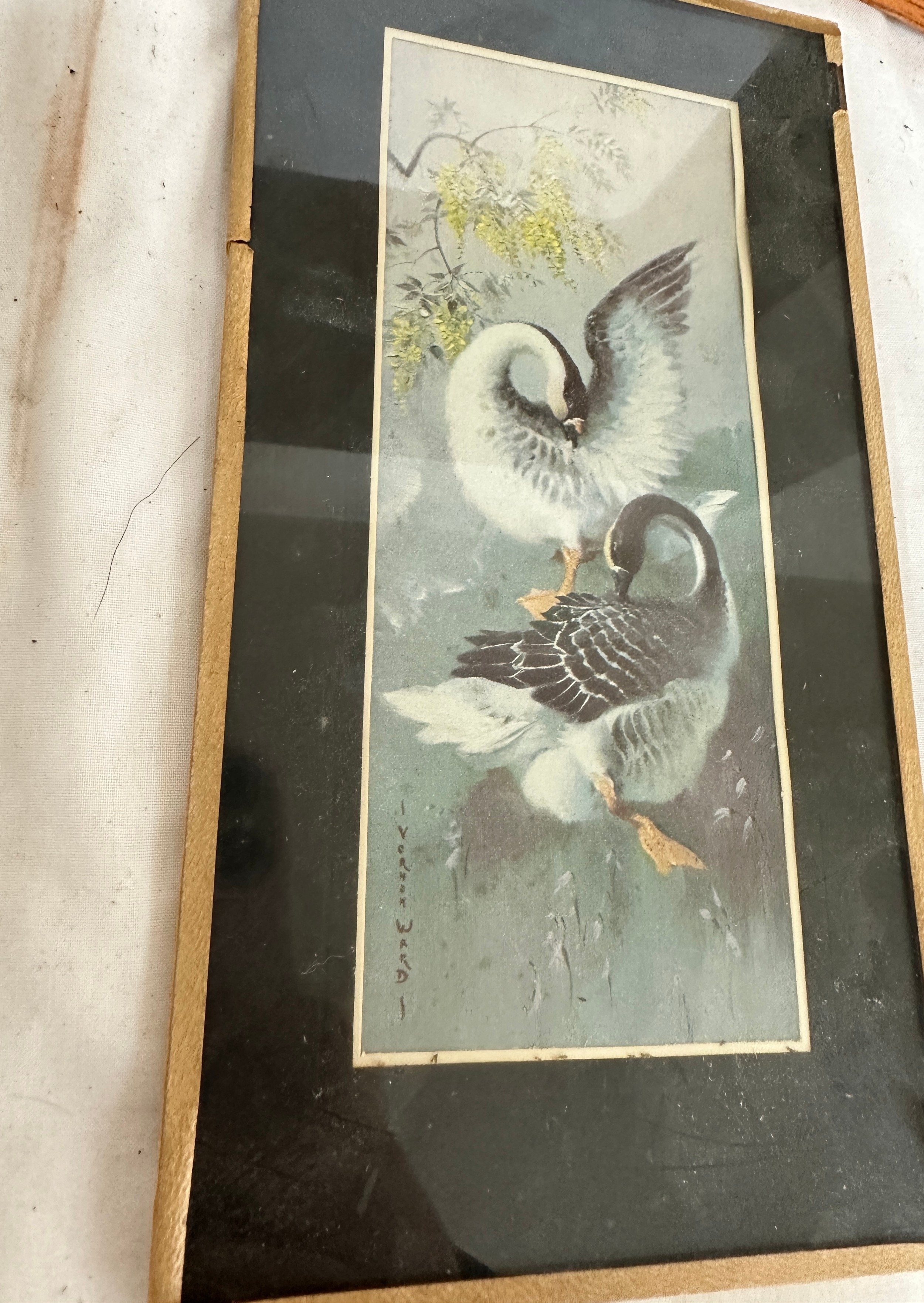 Framed prints by Shirley Carnt, Signed watercolour by Melvyn R J Brinkley, Watercolour by John - Image 8 of 8