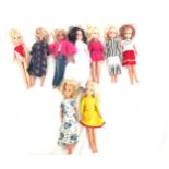 Nine vintage Sindy dolls