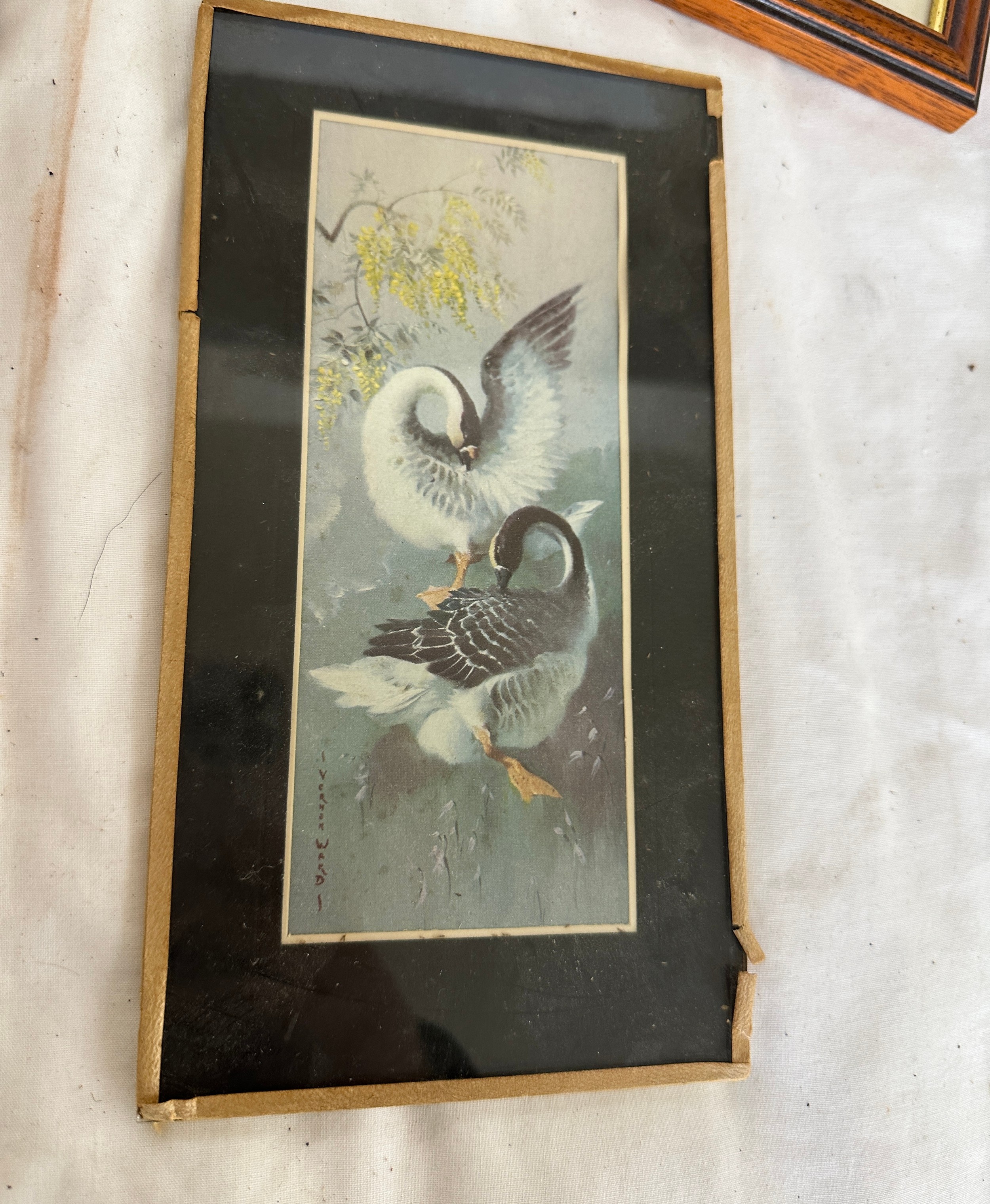 Framed prints by Shirley Carnt, Signed watercolour by Melvyn R J Brinkley, Watercolour by John - Image 7 of 8