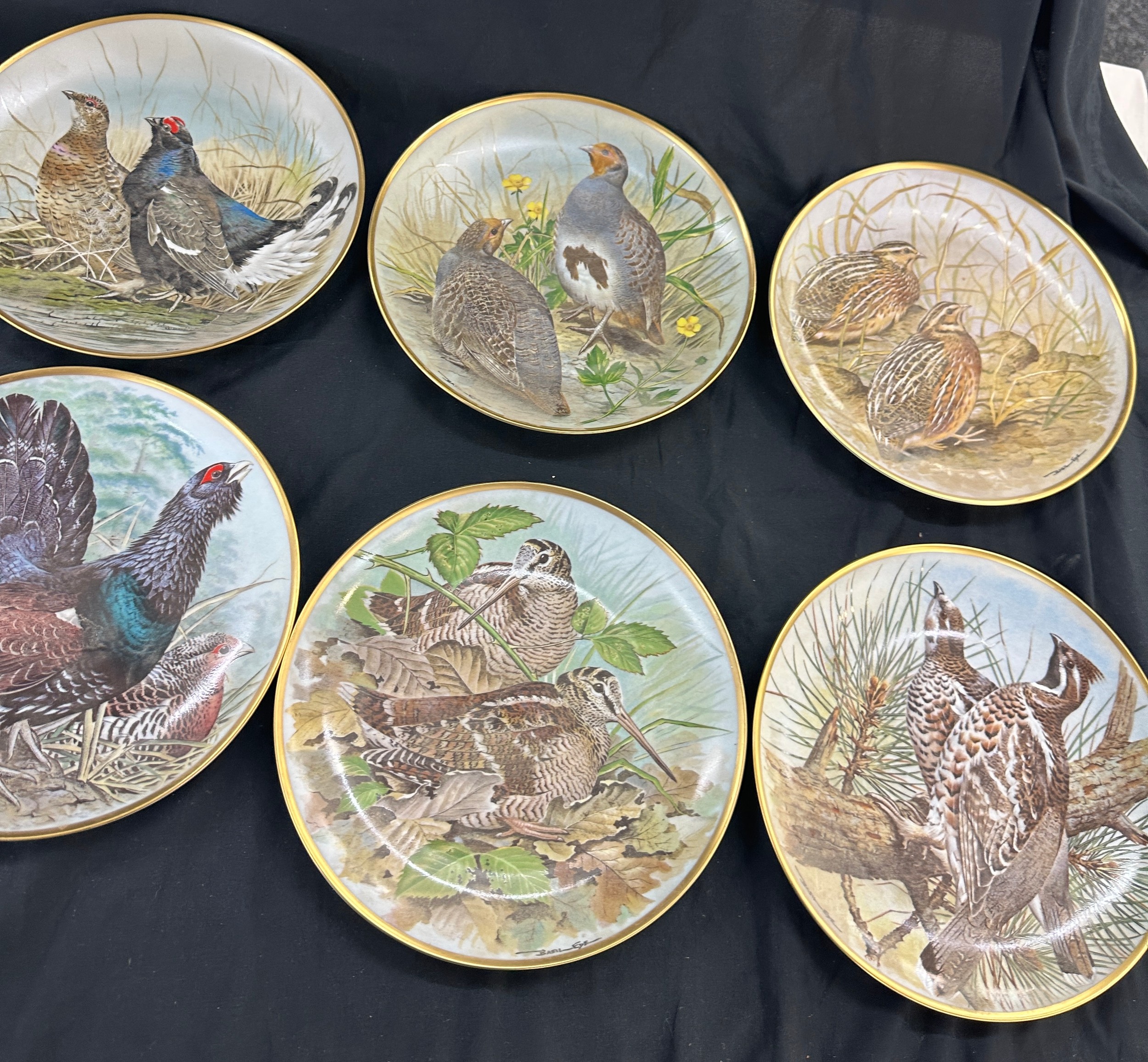 Set of 12 Franklin Porcelain gamebirds of the world by Basil Ede collectors plates - Image 4 of 5