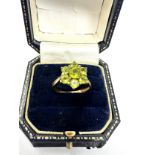 9ct rose gold Peridot cluster ring (3.3g)