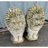 Pair of concrete lion ornaments measures approx 21 inches tall