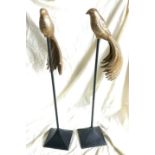 Pair brass birds on stands, overall height 30.5 inches, bird measures 16 inches in length