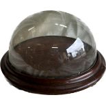 Vintage glass display dome, wooden base, approximate diameter, 12 inches, Height 5 inches
