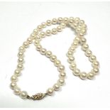 9ct gold clasp pearl single strand necklace (28.9g)