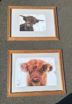 Two framed modern art pictures of cows measures approx 26 inches tall by 32 inches wide