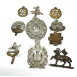 10 military cap badges inc the queens officers hampshire etc