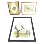 Three framed bird paintings, all signed, Calidris Temminckii, K.J wood and Fish-hou.k, largest