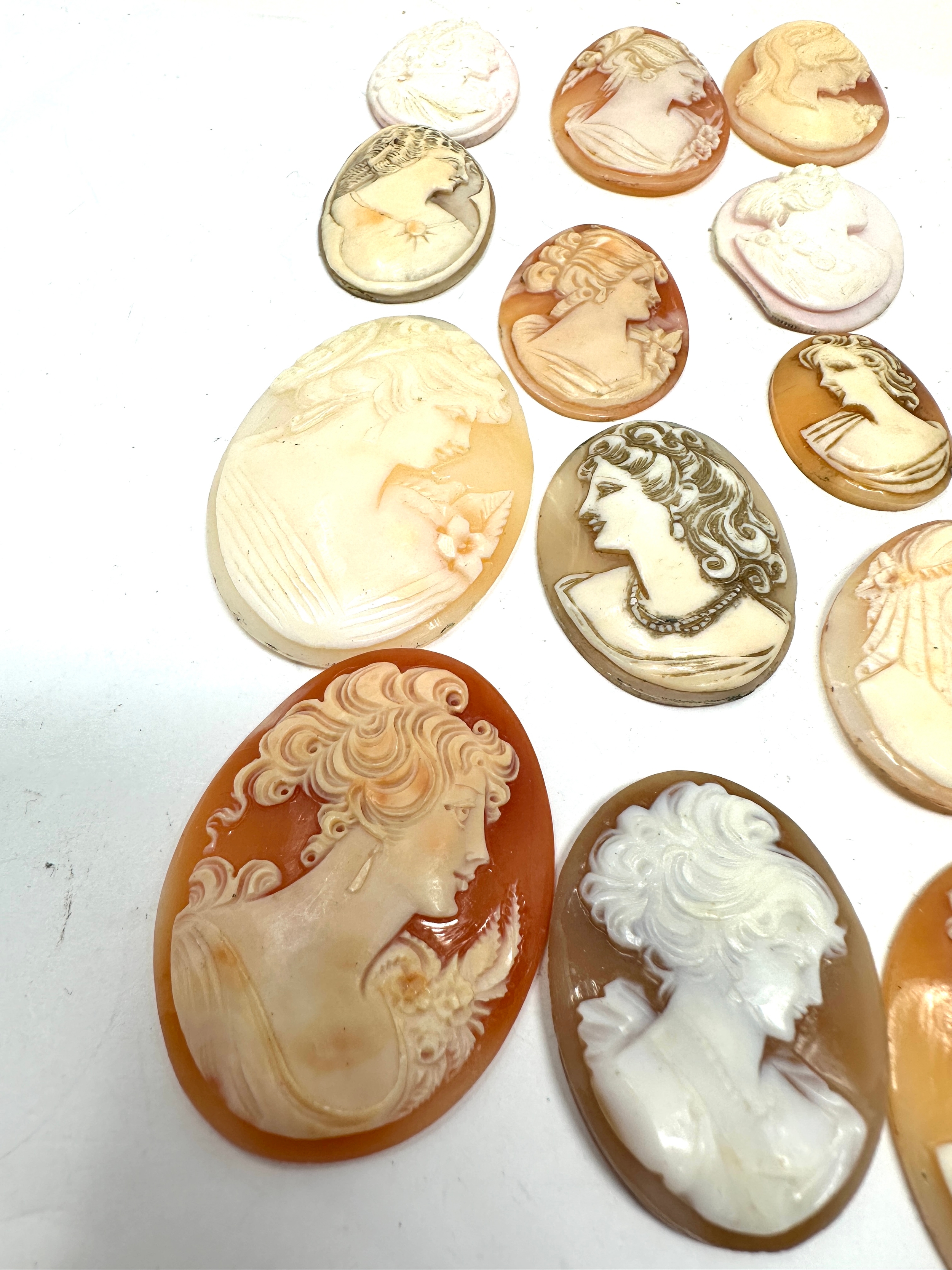 A Collection Of Loose Cameo Panels In Various Sizes - Image 4 of 4