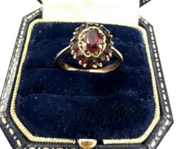 9ct Gold Garnet Ring (2.4g)