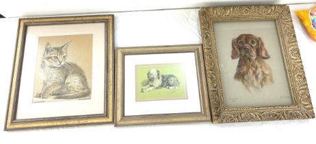 Rusty 1969 m porter dog drawing, abyssinian brett parker cat drawing, lucy dawson jill print largest