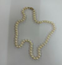 14ct gold clasp Pearl necklace