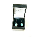 Vintage unmarked silver and opal earrings, drop approximate 2.5cm