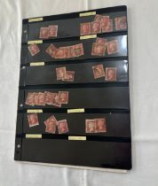 Selection of GB penny reds stamps over four stock cards