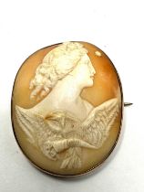 9ct gold shell cameo brooch (13g)