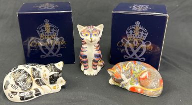 Three Royal Crown Derby paperweights, Catnip Kitten, hand signed on the base by gilder, Julie Towell