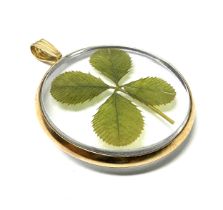 9ct gold framed antique preserved four leaf clover pendant (3.1g)