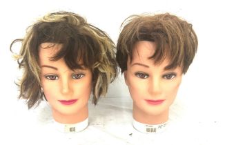 Selection of 2 mannequin heads