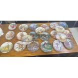 Large selection of collectors plates to include ' The Enchanting World of the Flower Faires' and '