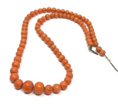 Antique graduated coral necklace largest bead measures approx 14.5mm dia weight 24g missing clasp