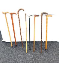 Selection of vintage walking sticks, various handle designs (8 sticks in total)