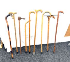 Selection of vintage walking sticks, various handle designs, some carved (9 sticks in total)