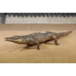 A taxidermy crocodile,