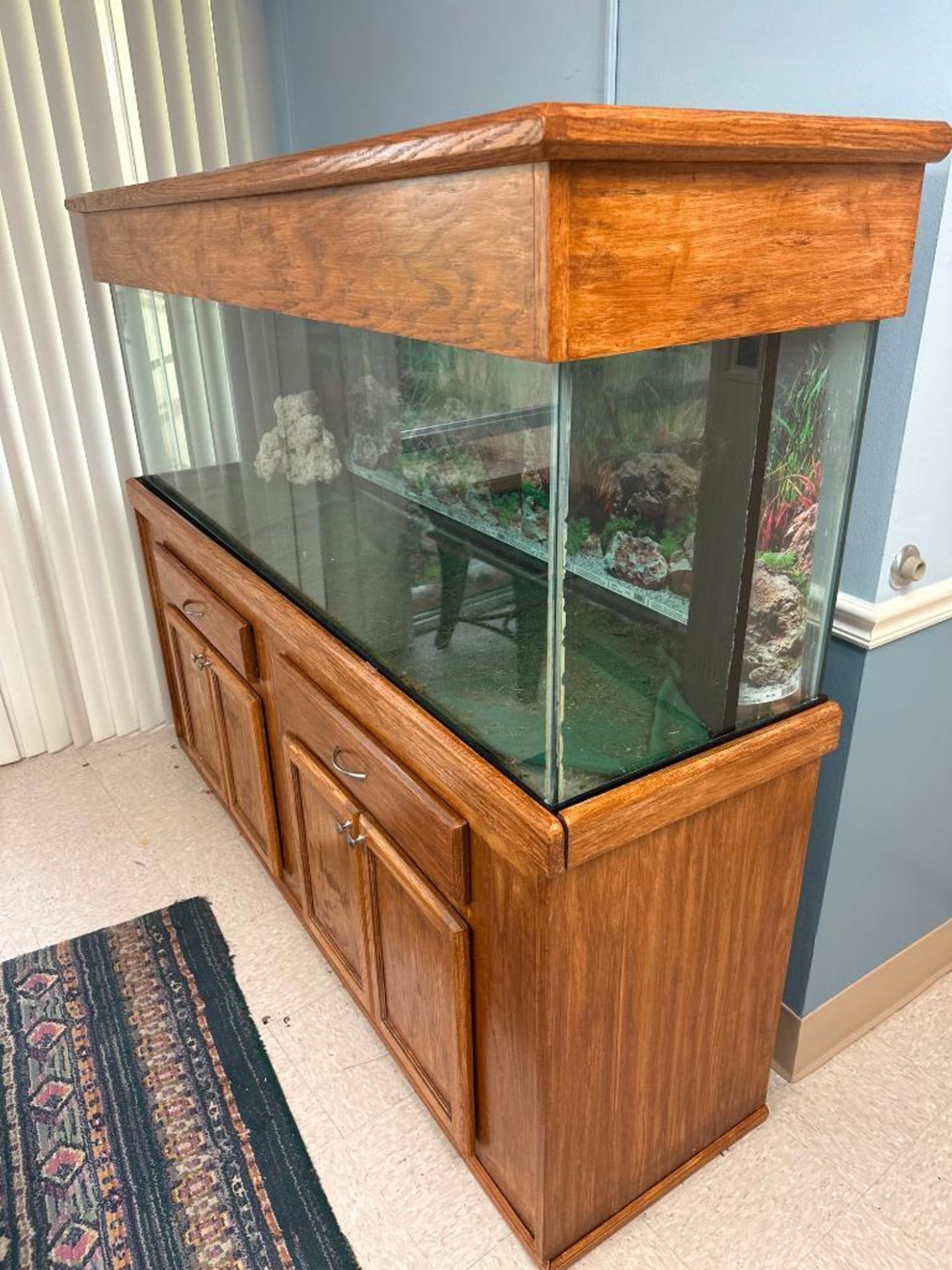 5FT WIDE FISH TANK - Image 2 of 2