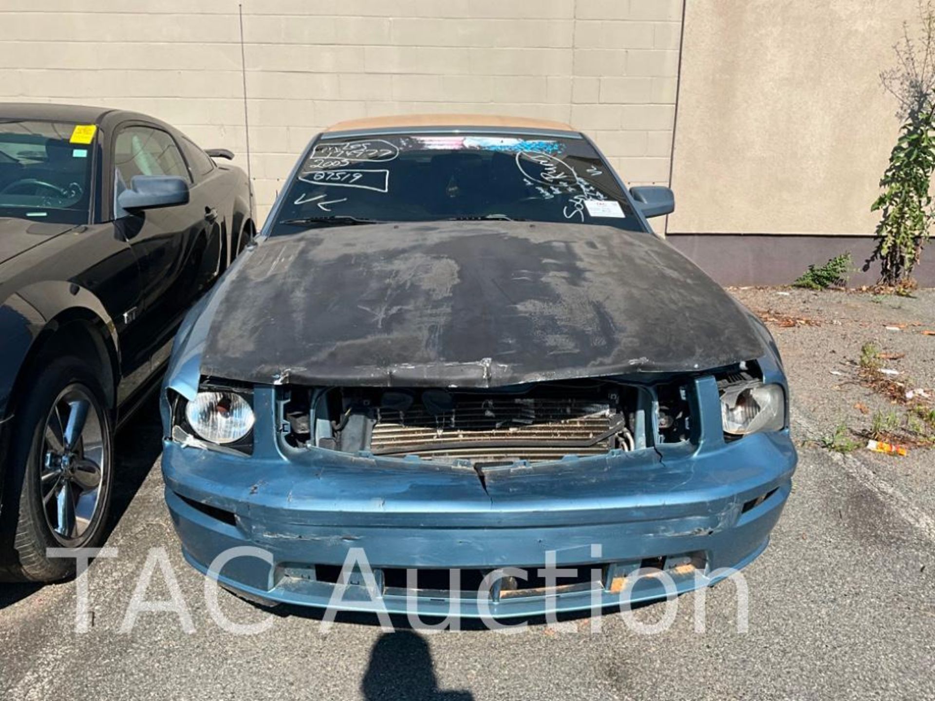 2005 Ford Mustang GT Convertible - Image 3 of 34