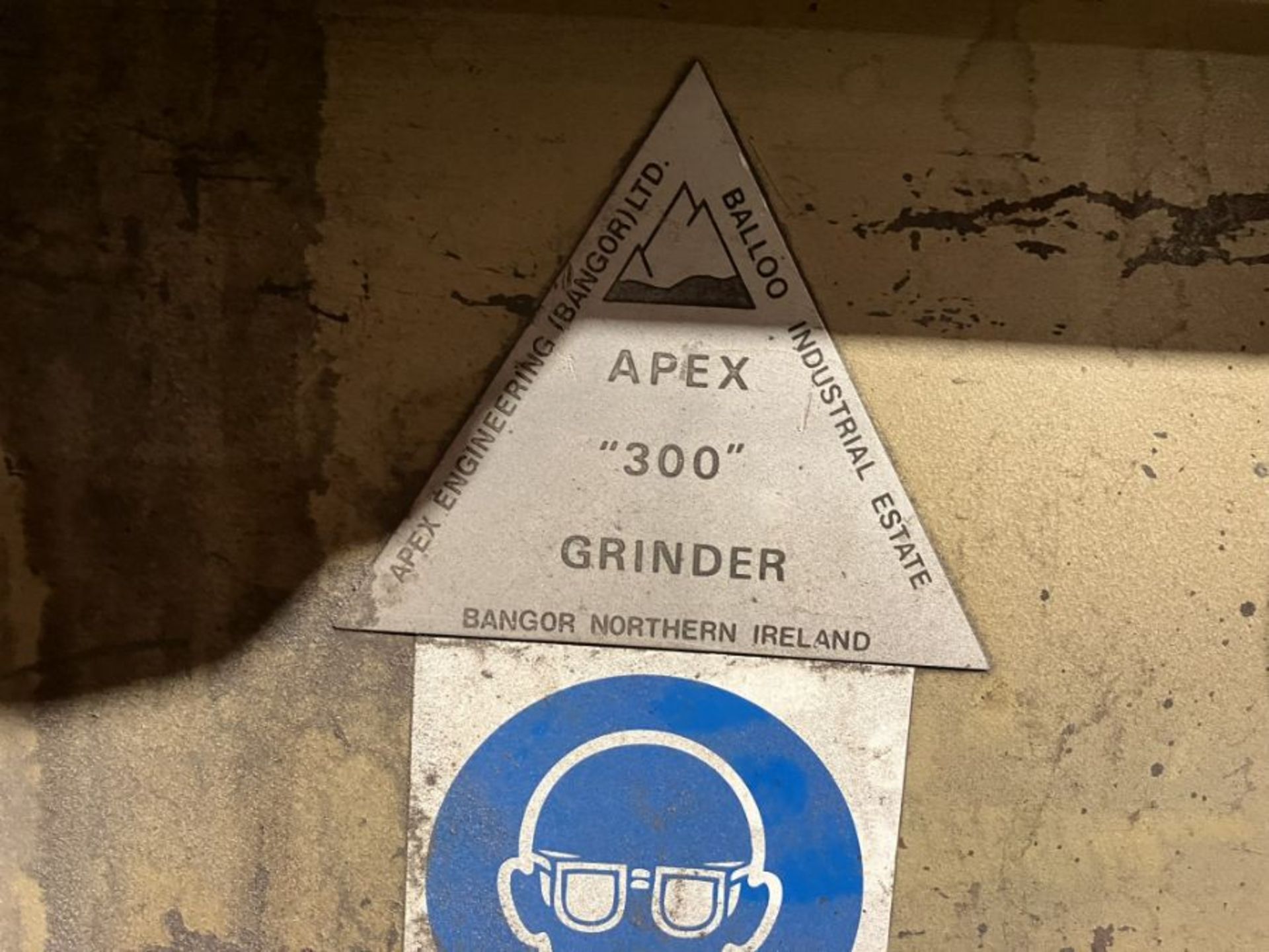 Apex 300 double ended grinder - Image 4 of 8