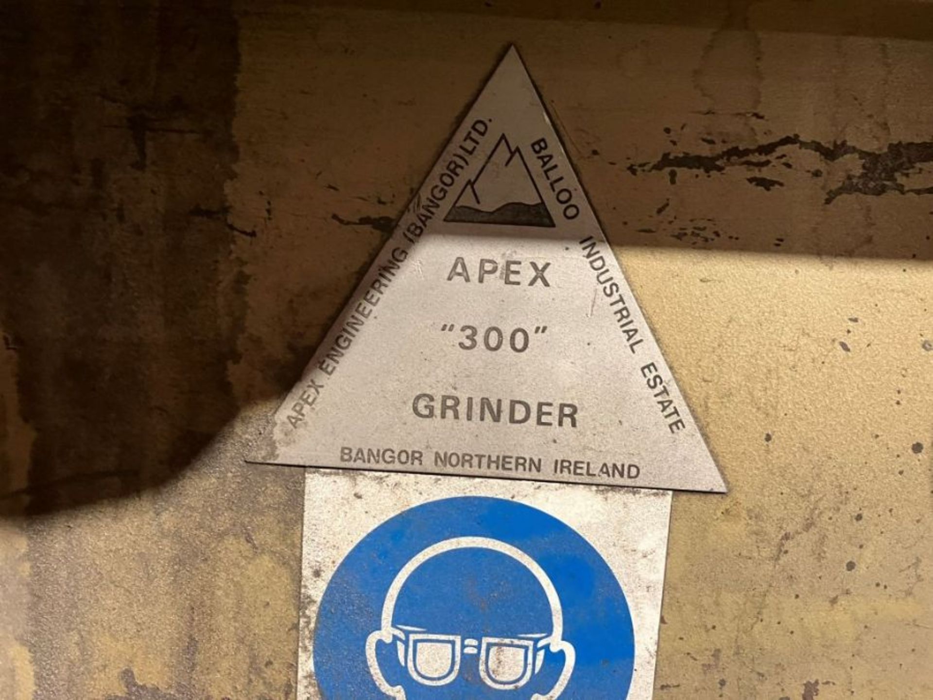 Apex 300 double ended grinder - Image 8 of 8