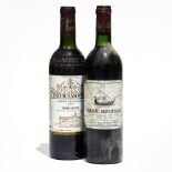 2 bottles Mixed Bordeaux