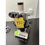 Olympus Microscope, 10x, 40x, 100x mod. BH-2