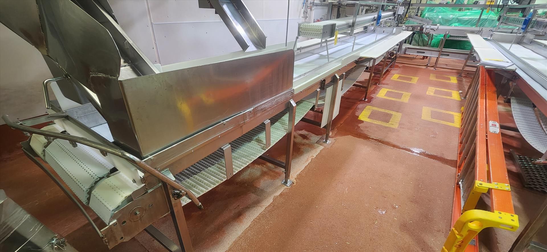 drum/thigh/leg conveyor, 3-belt, stainless steel frame, wash down motor, approx. 6/6/18 in. x 19 ft.