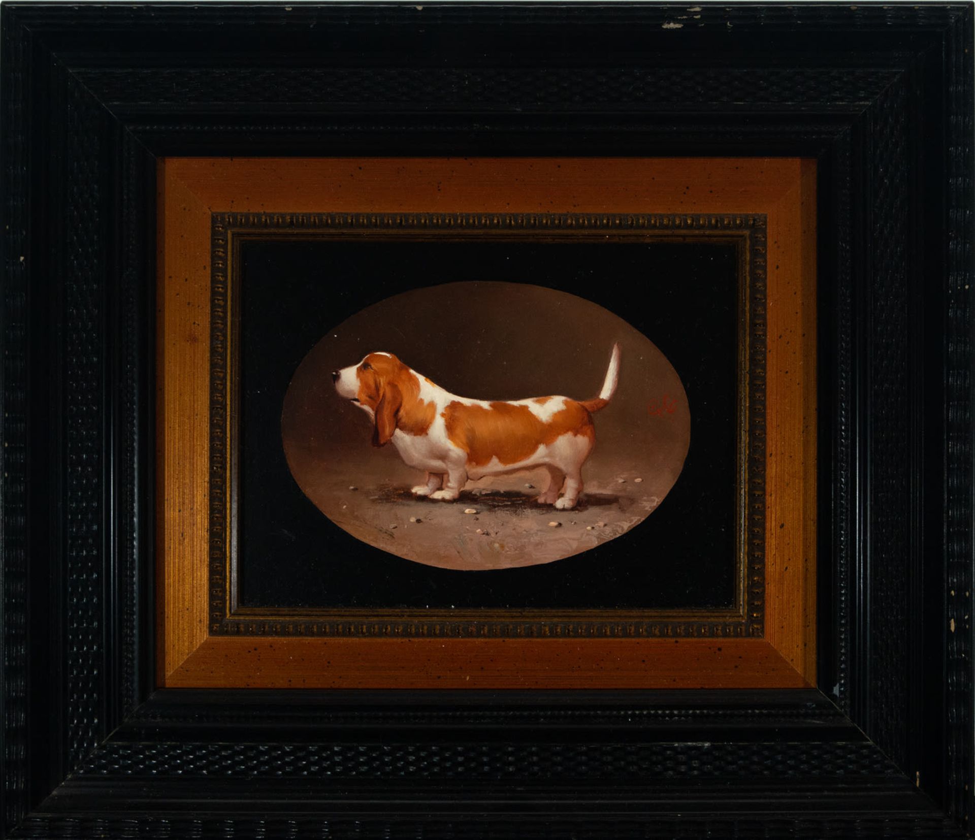 Magnificent series of six portraits of dogs, European school from the 19th - 20th century - Bild 6 aus 7