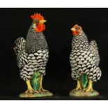 Pair of Rooster and Hen in Italian enameled Majolica, 19th - 20th century