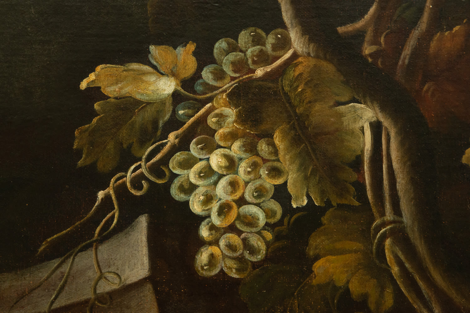Nicola Casissa, "Still Life with Flowers and Dog", 17th century Italian school - Image 6 of 8