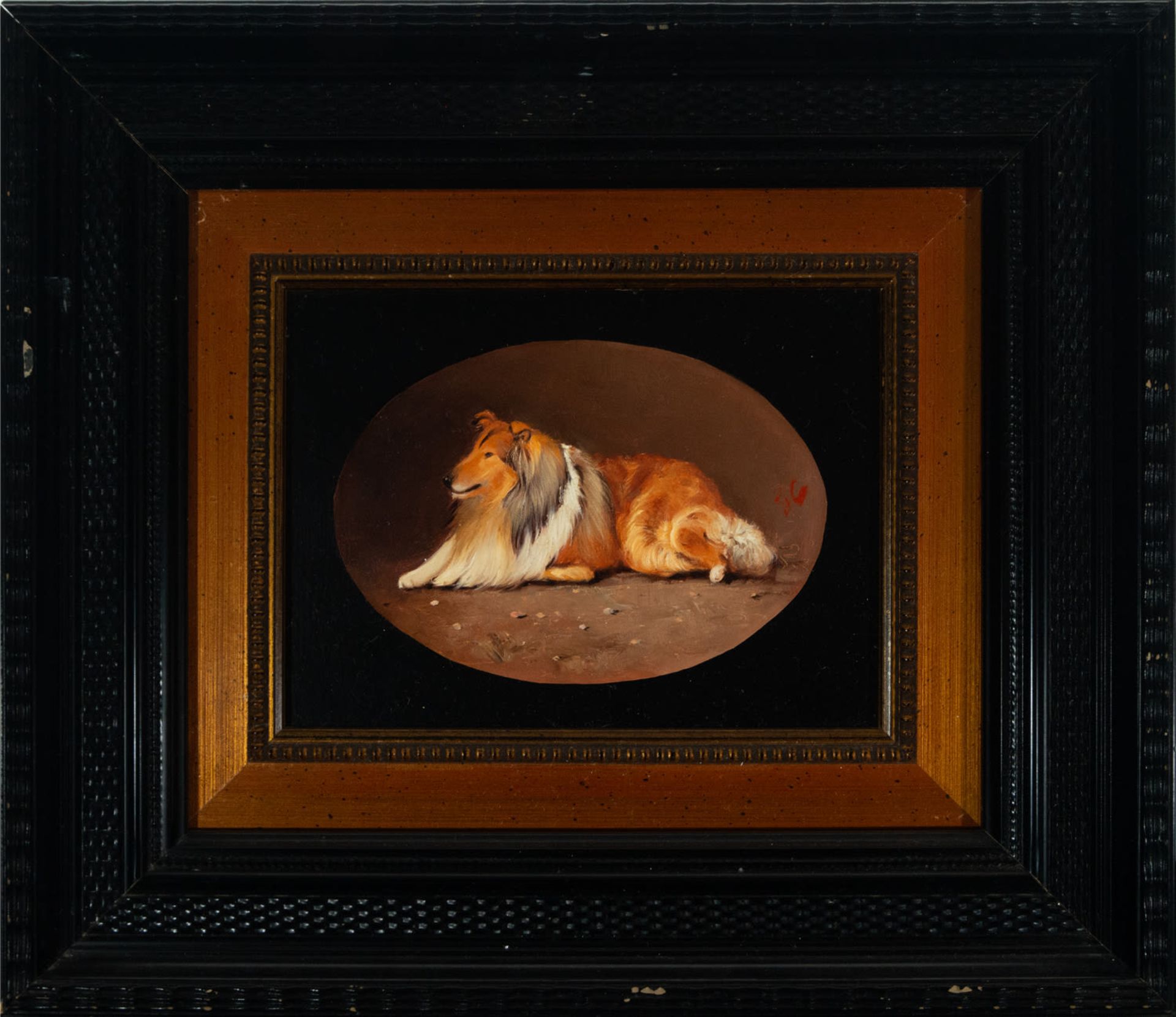 Magnificent series of six portraits of dogs, European school from the 19th - 20th century - Bild 4 aus 7