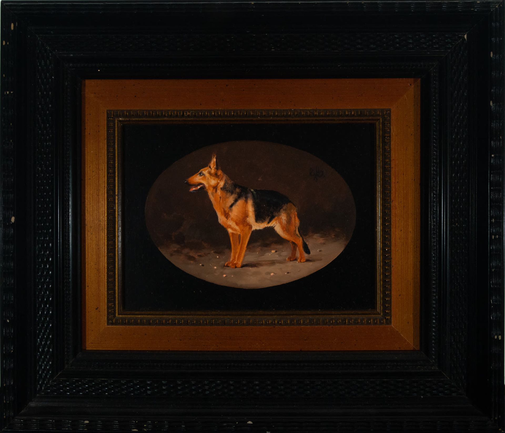 Magnificent series of six portraits of dogs, European school from the 19th - 20th century - Bild 5 aus 7