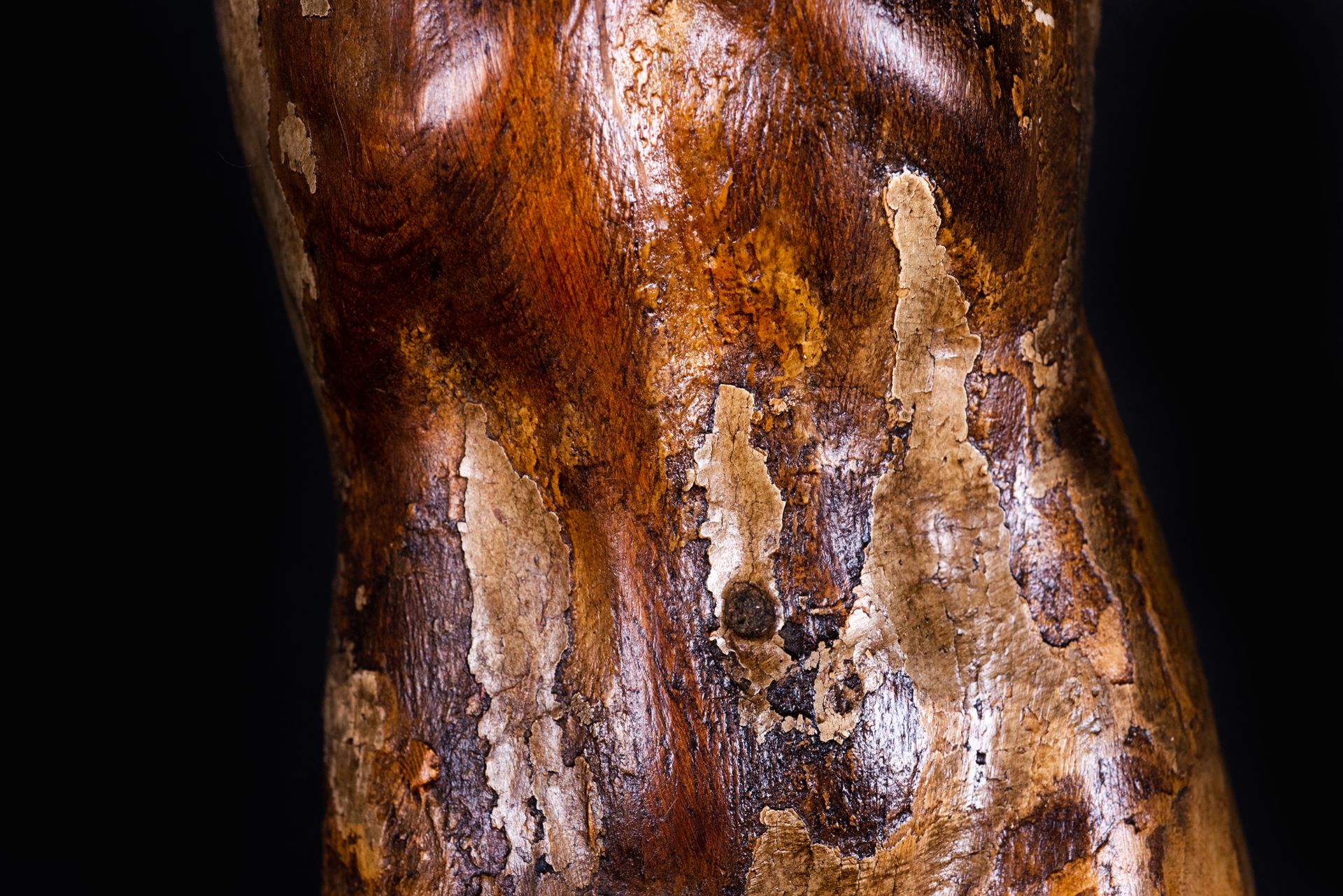 Christ in wood, with traces of original polychrome, based on Michelangelo's model, 16th - 17th centu - Image 6 of 9