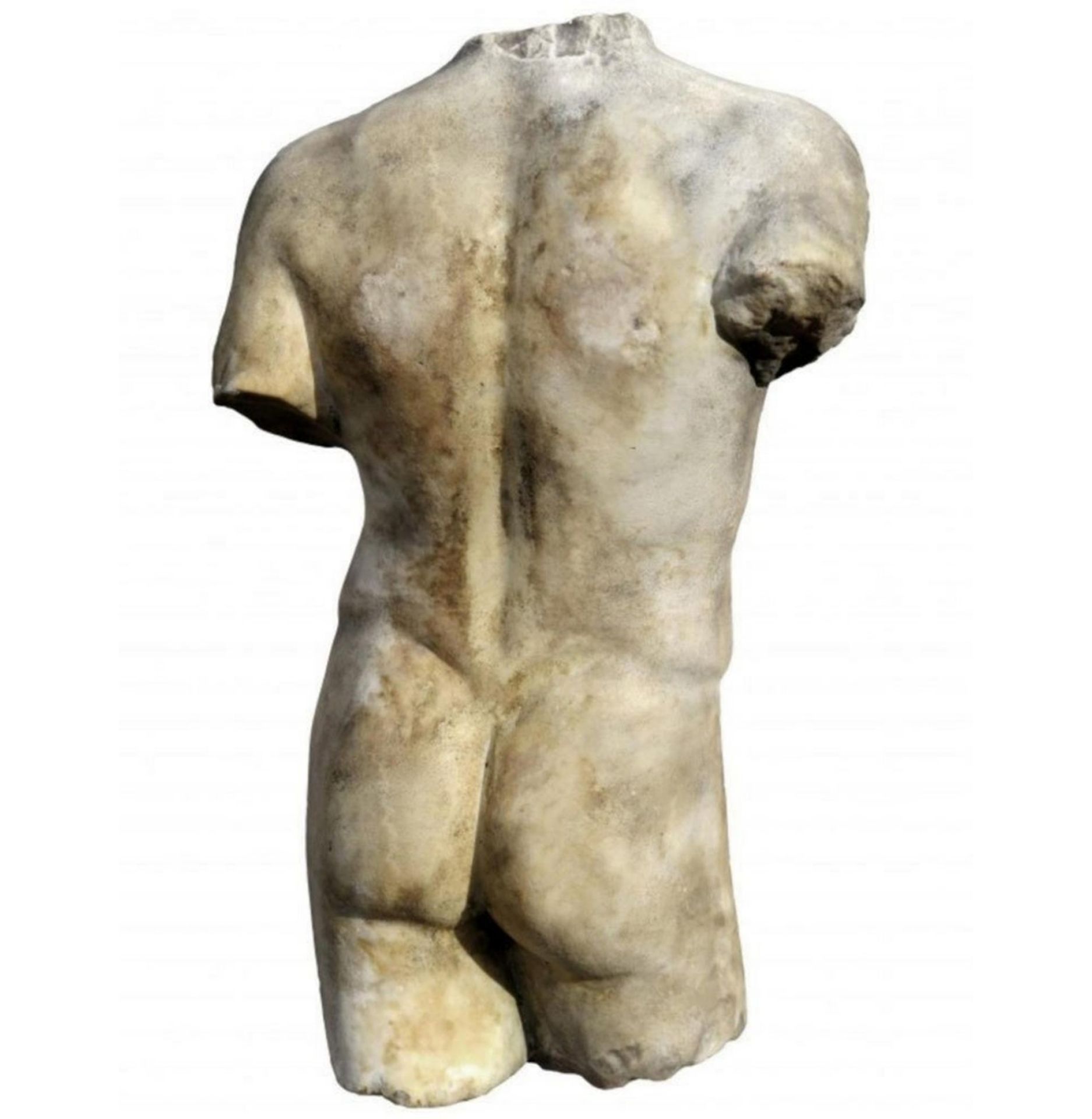 Torso of a Young Man, following models from classical Greece, 19th century - Image 4 of 4