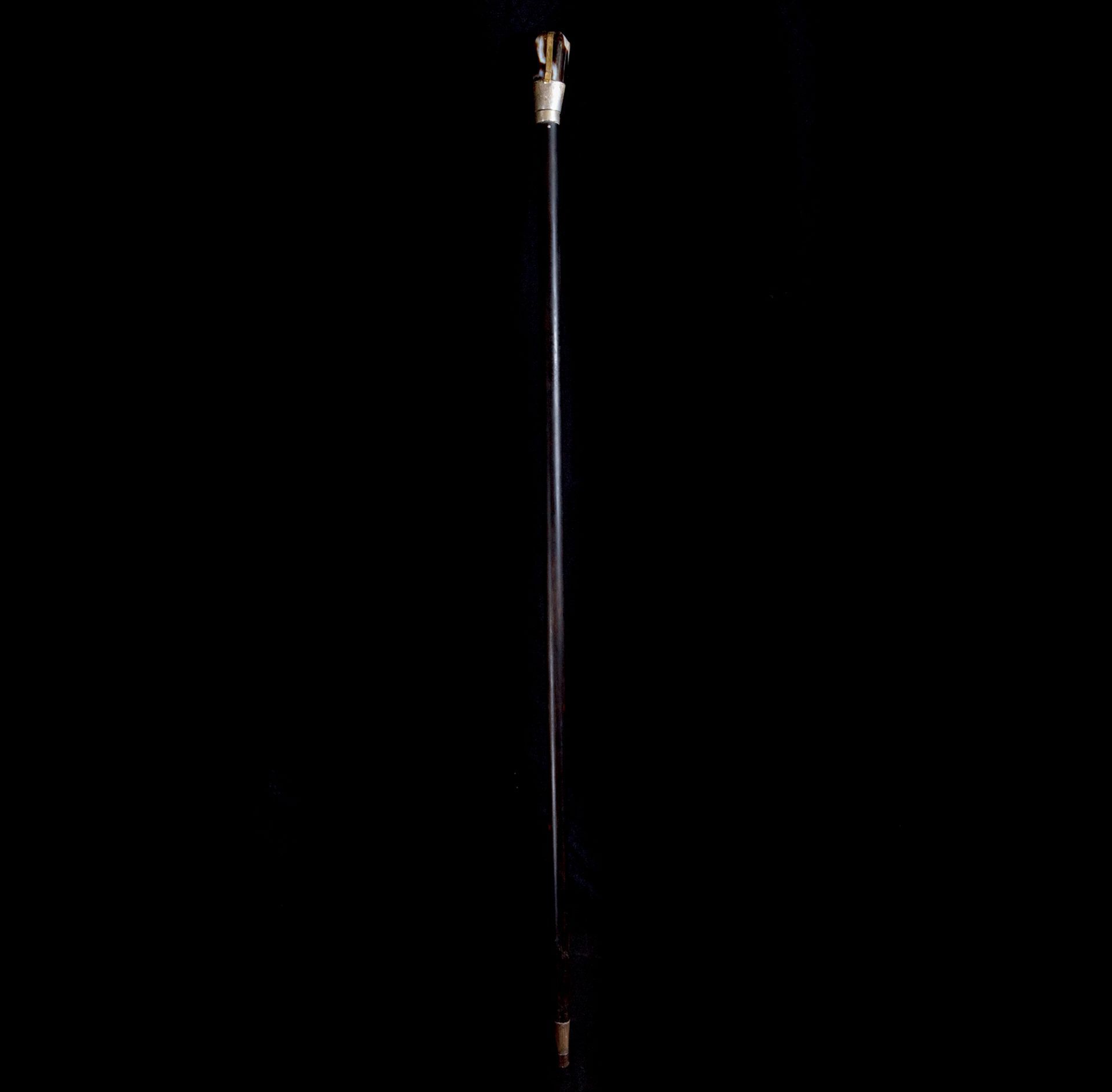 Rare walking stick with agate handle mounted in silver with an ebony body, 19th century - Image 2 of 4