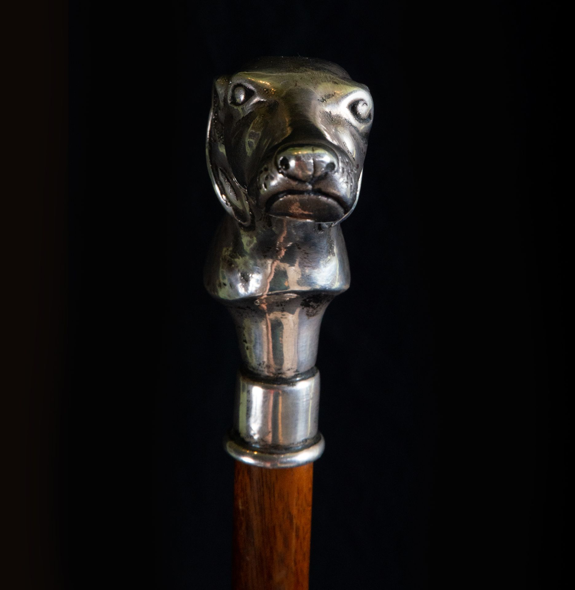 Victorian walking stick with silver greyhound head grip, England, 19th century - Image 3 of 4