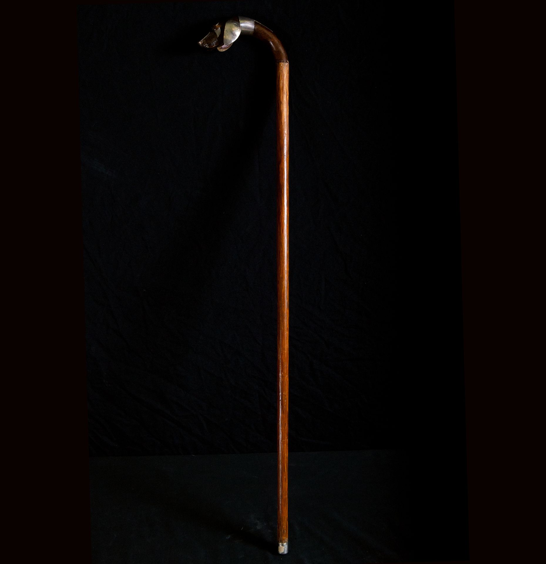 German walking stick with silver inlaid Dog handle, 19th - 20th centuries - Image 2 of 4